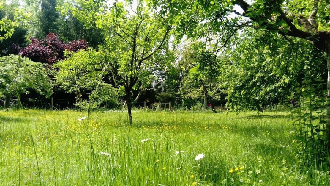 Gite Spacieux Et Cosy A La Campagne Proche De Strasbourg Achenheim Dış mekan fotoğraf